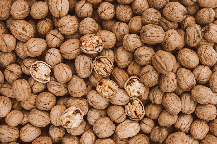 Lee más sobre el artículo Luz verde para el sector nogalero: Mendoza potencia sus exportaciones a través de la Asociación Nuts From Argentina